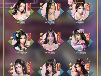 网站开发设计与游戏软件开发 软件设计制作的双翼