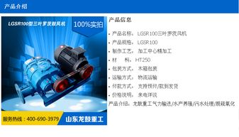 立窑水泥厂高效生产解决方案 罗茨风机应用与龙鼓风机的一站式服务